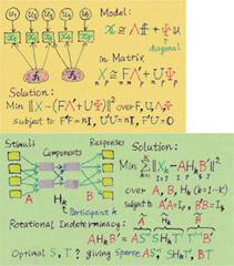 行動統計科学